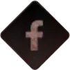 SEL: Eternal Night on Facebook
